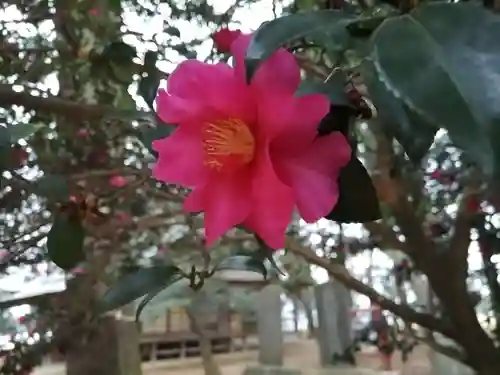 東蕗田天満社の自然