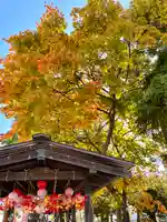 伊達神社のその他建物