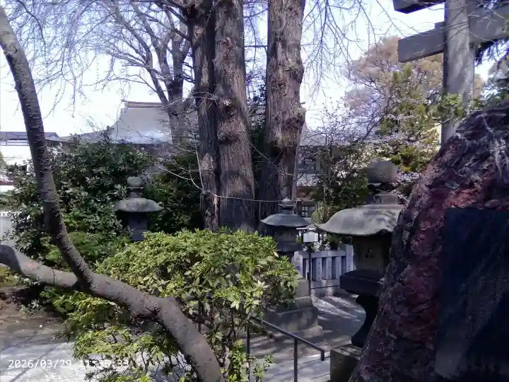 葛西神社の{uncategorized: "未分類", other: "その他", undefined: "問題あり", building: "その他建物", grave: "お墓", sacred_gate: "鳥居", guardian: "狛犬", statue: "像", buddha: "仏像", history: "歴史", nature: "自然", garden: "庭園", animal: "動物", pagoda: "塔", temizu: "手水舎", mountain_gate: "山門・神門", sanctuary: "本殿・本堂", subordinate: "末社・摂社", art: "芸術", scenery: "景色", jizo: "地蔵", ema: "絵馬", goshuin: "御朱印", omikuji: "おみくじ", items: "授与品その他", amulet: "お守り", goshuincho: "御朱印帳", eats: "食事", festival: "お祭り", votive_dance: "神楽", shichigosan: "七五三参", wedding: "結婚式", experience: "体験その他", initially: "初詣", around: "周辺", anti_infection: "感染症対策"}