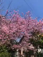 櫻木神社の自然