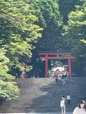 霧島神宮(鹿児島県)