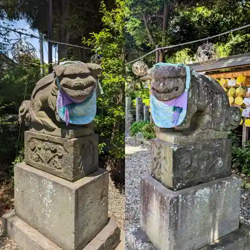 菊田神社の狛犬