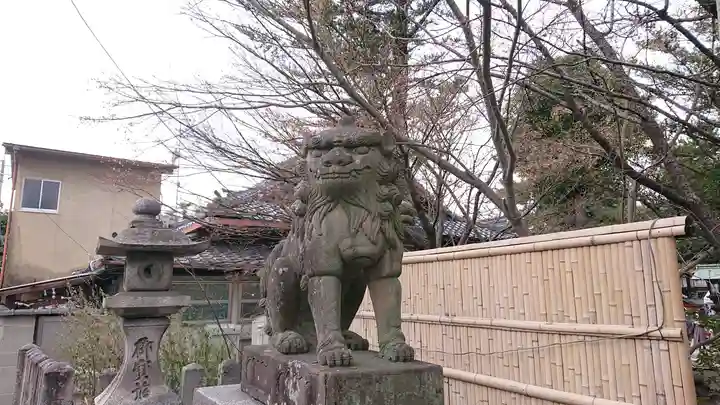 安井金比羅宮の狛犬