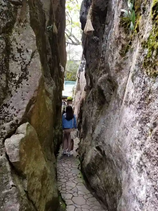 阿賀神社の自然