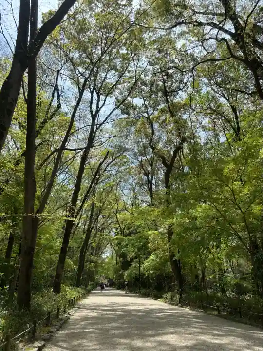 賀茂御祖神社(下鴨神社)の景色