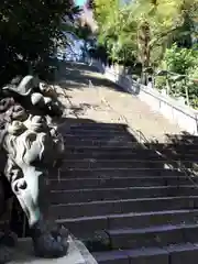 愛宕神社の狛犬