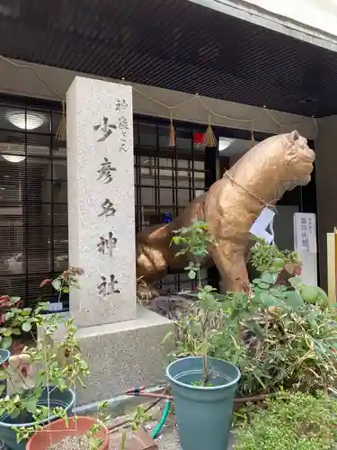 少彦名神社の狛犬