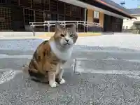 秩父札所十三番 慈眼寺(埼玉県)