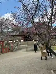 氷室神社(奈良県)