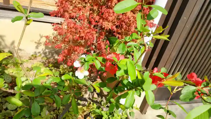 玉泉寺(神奈川県)