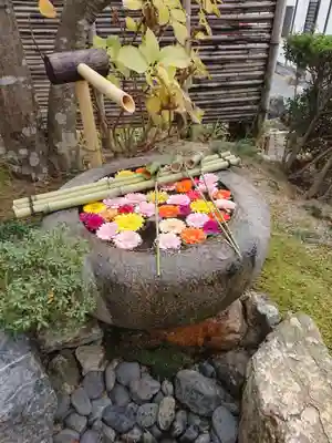 宝林寺のその他建物