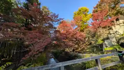 北野天満宮(京都府)