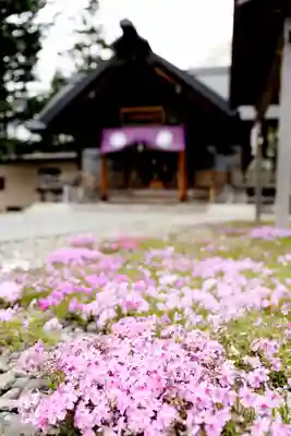 市来知神社(北海道)
