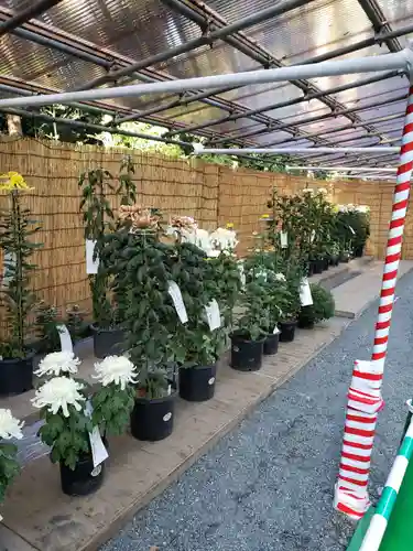 明治神宮の庭園