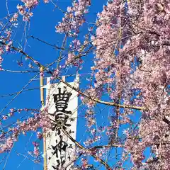 豊景神社の自然