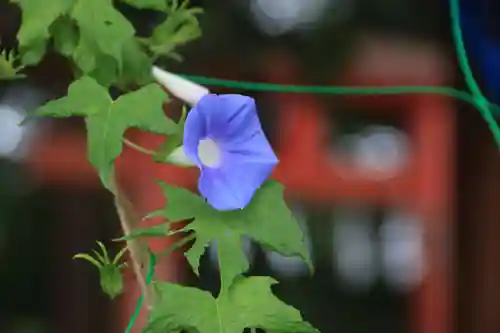 阿久津「田村神社」（郡山市阿久津町）旧社名：伊豆箱根三嶋三社の手水