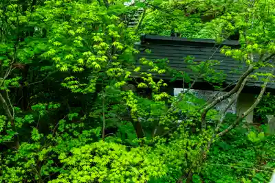 戸隠神社奥社(長野県)