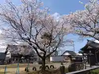 常国寺(新潟県)