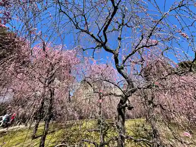 城南宮(京都府)