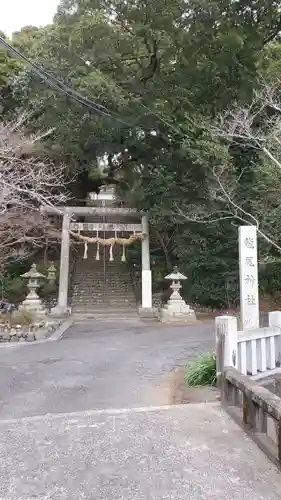 龍尾神社の鳥居