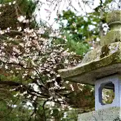 竹駒神社の自然