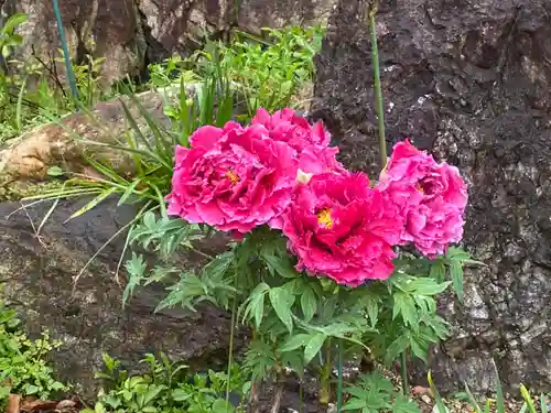 潮音寺(愛知県)