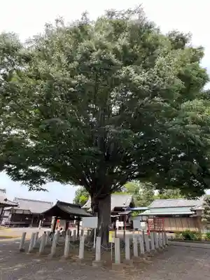 小泉神社(群馬県)