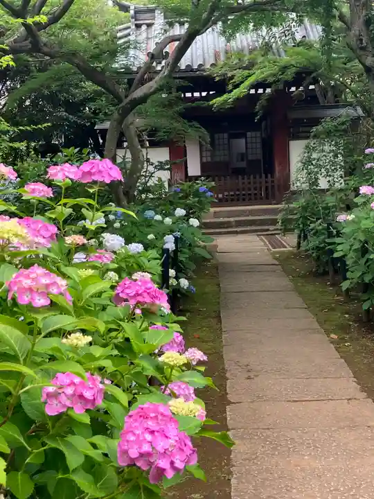 本土寺(千葉県)