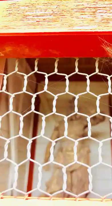 薬師寺(千葉県)