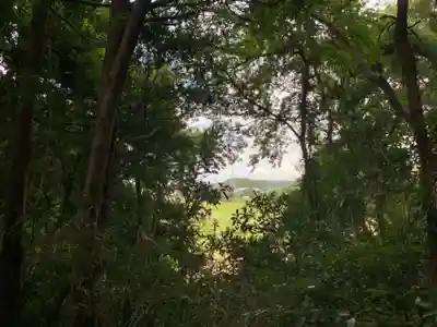 稲荷神社(千葉県)