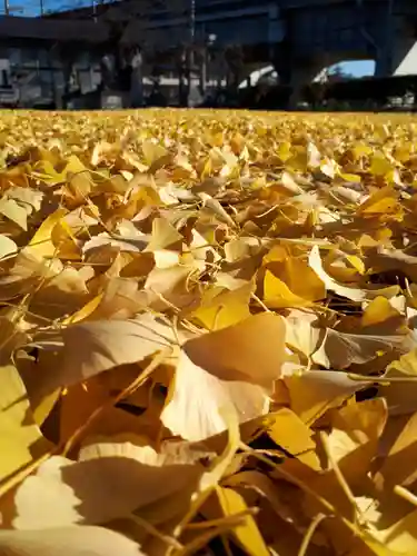 白山神社の自然