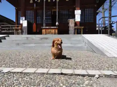 杉杜白髭神社(福井県)