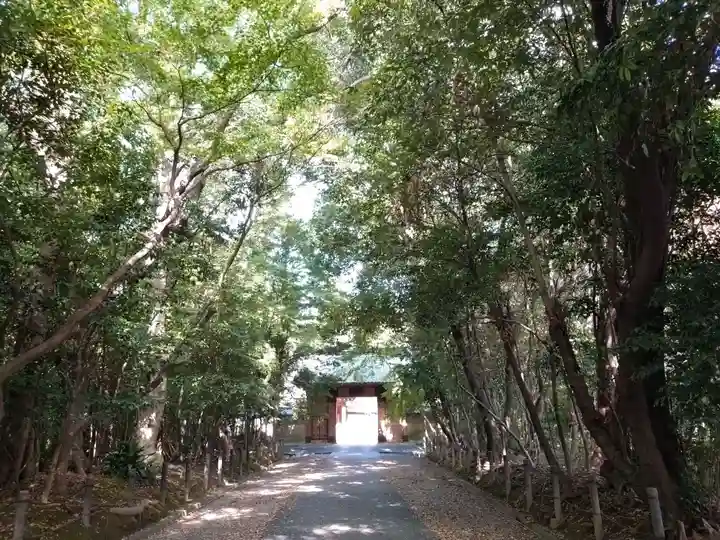 妙興報恩禅寺(妙興寺)(愛知県)