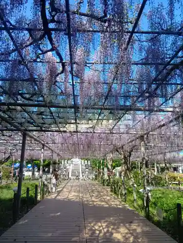 曼陀羅寺(愛知県)