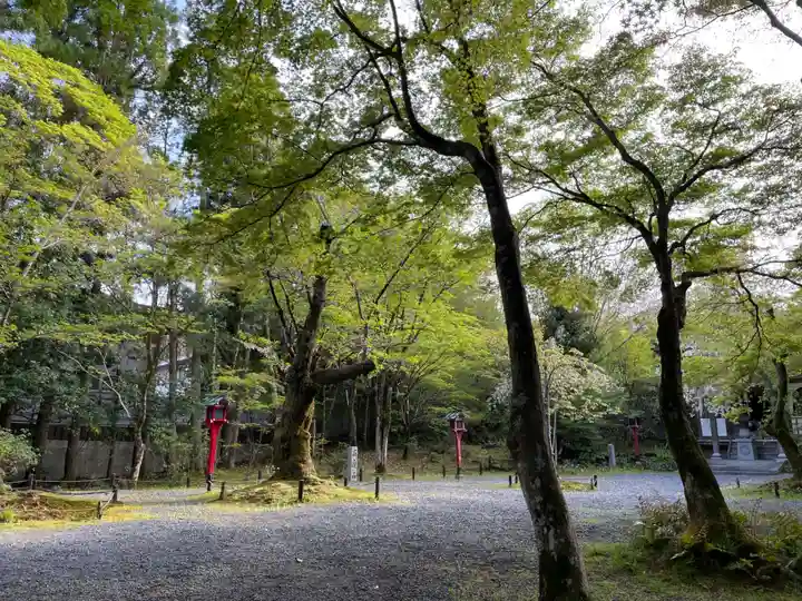 常照寺(京都府)