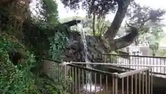 天妃神社の建物その他