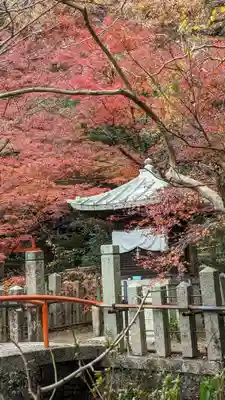 宝積寺(京都府)
