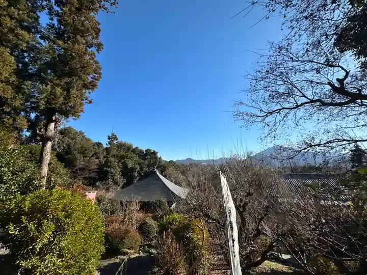 岩之上堂(埼玉県)