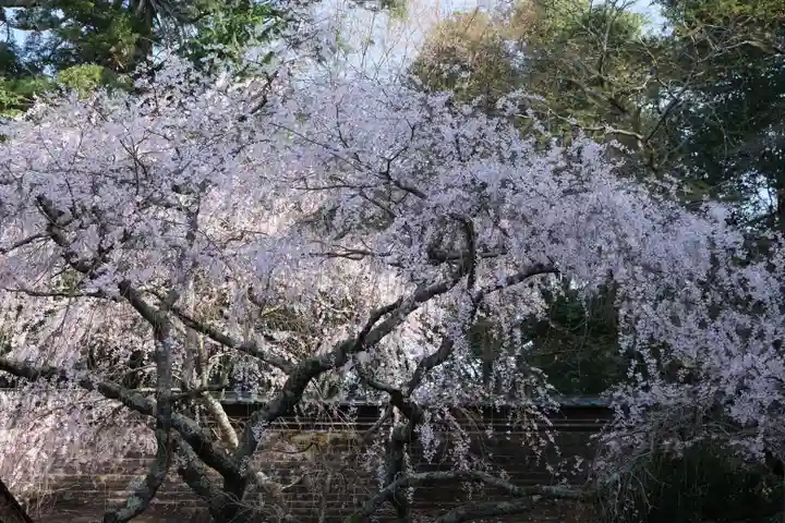 吉野水分神社(吉野町)の自然