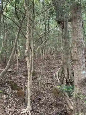 太江寺の{uncategorized: "未分類", other: "その他", undefined: "問題あり", building: "その他建物", grave: "お墓", sacred_gate: "鳥居", guardian: "狛犬", statue: "像", buddha: "仏像", history: "歴史", nature: "自然", garden: "庭園", animal: "動物", pagoda: "塔", temizu: "手水舎", mountain_gate: "山門・神門", sanctuary: "本殿・本堂", subordinate: "末社・摂社", art: "芸術", scenery: "景色", jizo: "地蔵", ema: "絵馬", goshuin: "御朱印", omikuji: "おみくじ", items: "授与品その他", amulet: "お守り", goshuincho: "御朱印帳", eats: "食事", festival: "お祭り", votive_dance: "神楽", shichigosan: "七五三参", wedding: "結婚式", experience: "体験その他", initially: "初詣", around: "周辺", anti_infection: "感染症対策"}