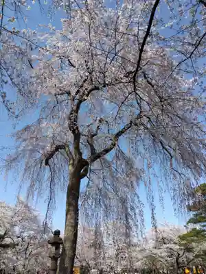伊部波島大神(新潟県)