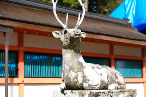 大原野神社の狛犬