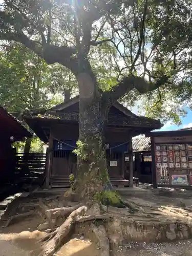 青井阿蘇神社(熊本県)