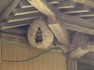神社(名称不明)の本殿・本堂