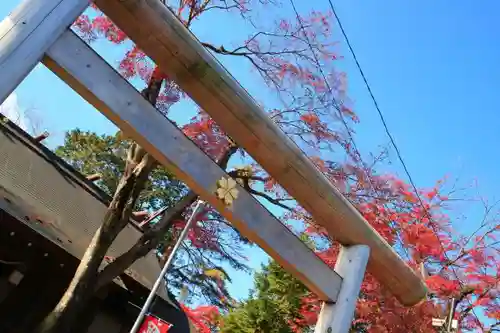 櫻岡大神宮の鳥居