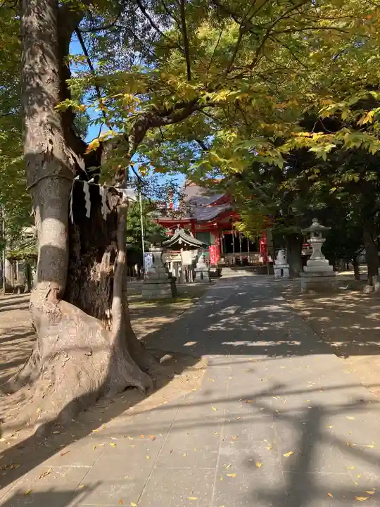 戸部杉山神社のその他建物
