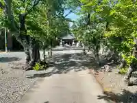 若宮八幡神社の{uncategorized: "未分類", other: "その他", undefined: "問題あり", building: "その他建物", grave: "お墓", sacred_gate: "鳥居", guardian: "狛犬", statue: "像", buddha: "仏像", history: "歴史", nature: "自然", garden: "庭園", animal: "動物", pagoda: "塔", temizu: "手水舎", mountain_gate: "山門・神門", sanctuary: "本殿・本堂", subordinate: "末社・摂社", art: "芸術", scenery: "景色", jizo: "地蔵", ema: "絵馬", goshuin: "御朱印", omikuji: "おみくじ", items: "授与品その他", amulet: "お守り", goshuincho: "御朱印帳", eats: "食事", festival: "お祭り", votive_dance: "神楽", shichigosan: "七五三参", wedding: "結婚式", experience: "体験その他", initially: "初詣", around: "周辺", anti_infection: "感染症対策"}