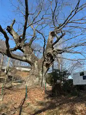 新田神社(群馬県)