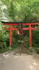 箱根神社の鳥居