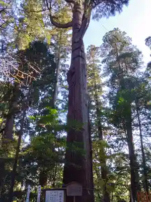 高千穂神社(宮崎県)
